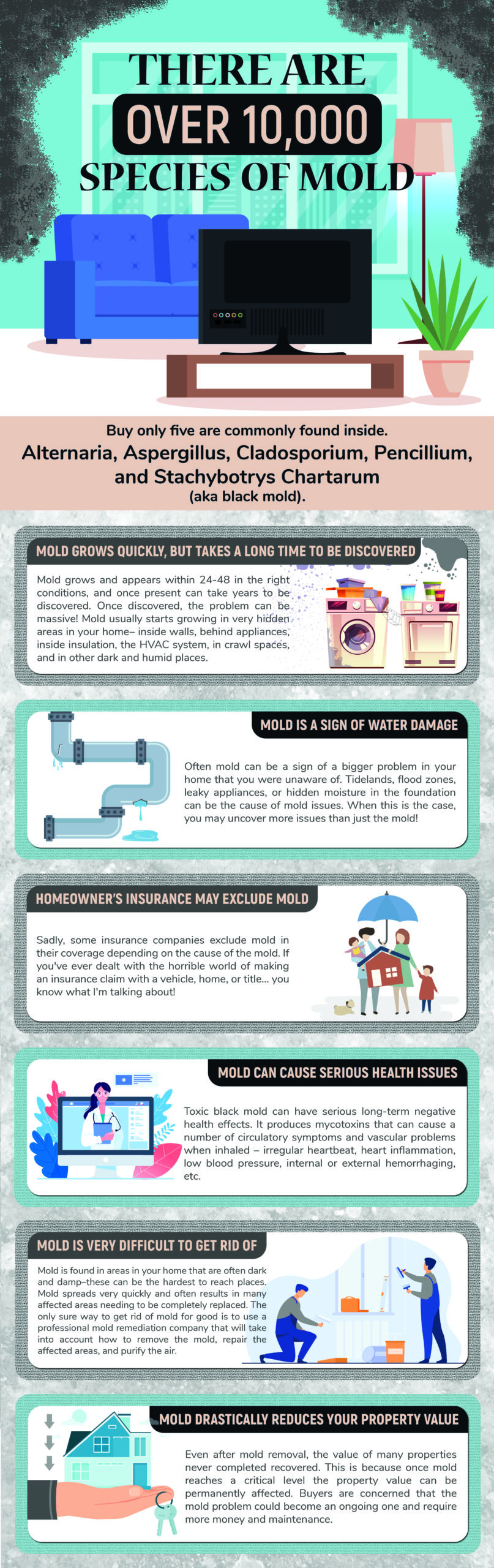 Mold infographic